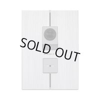 ★2026年2月中旬頃★アイホン WP-EA カメラ付玄関子機